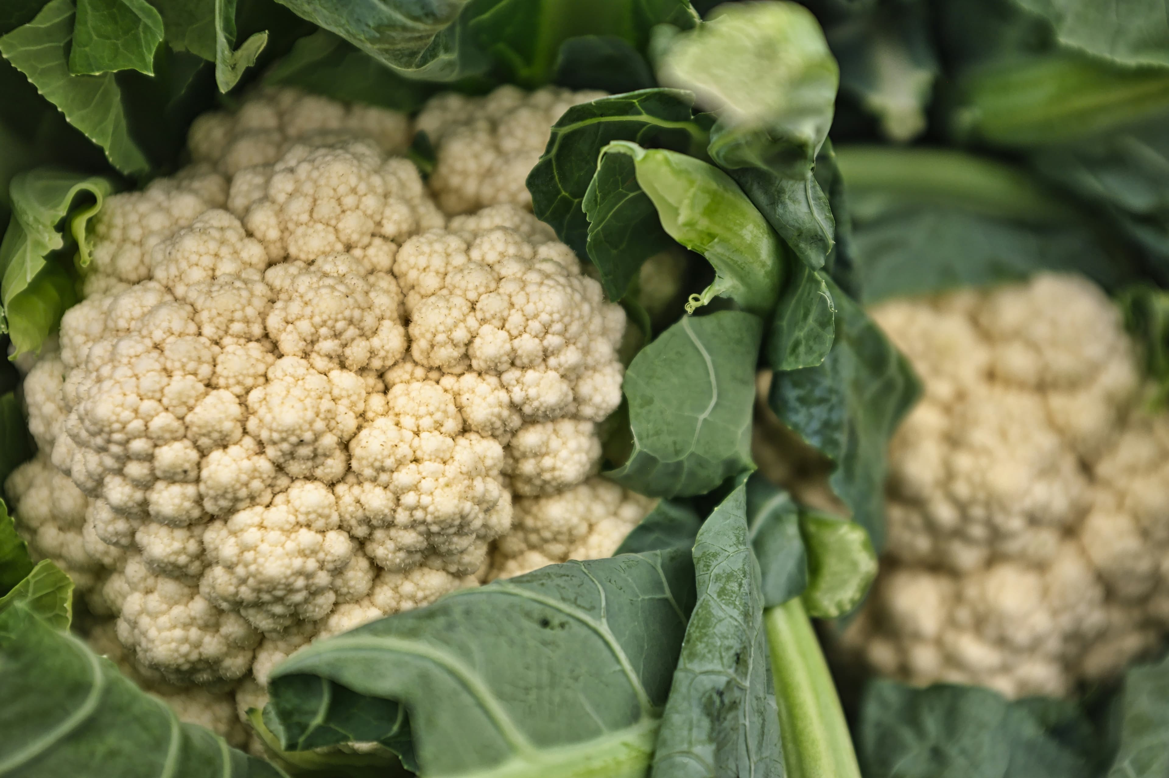 Fresh Cauliflower