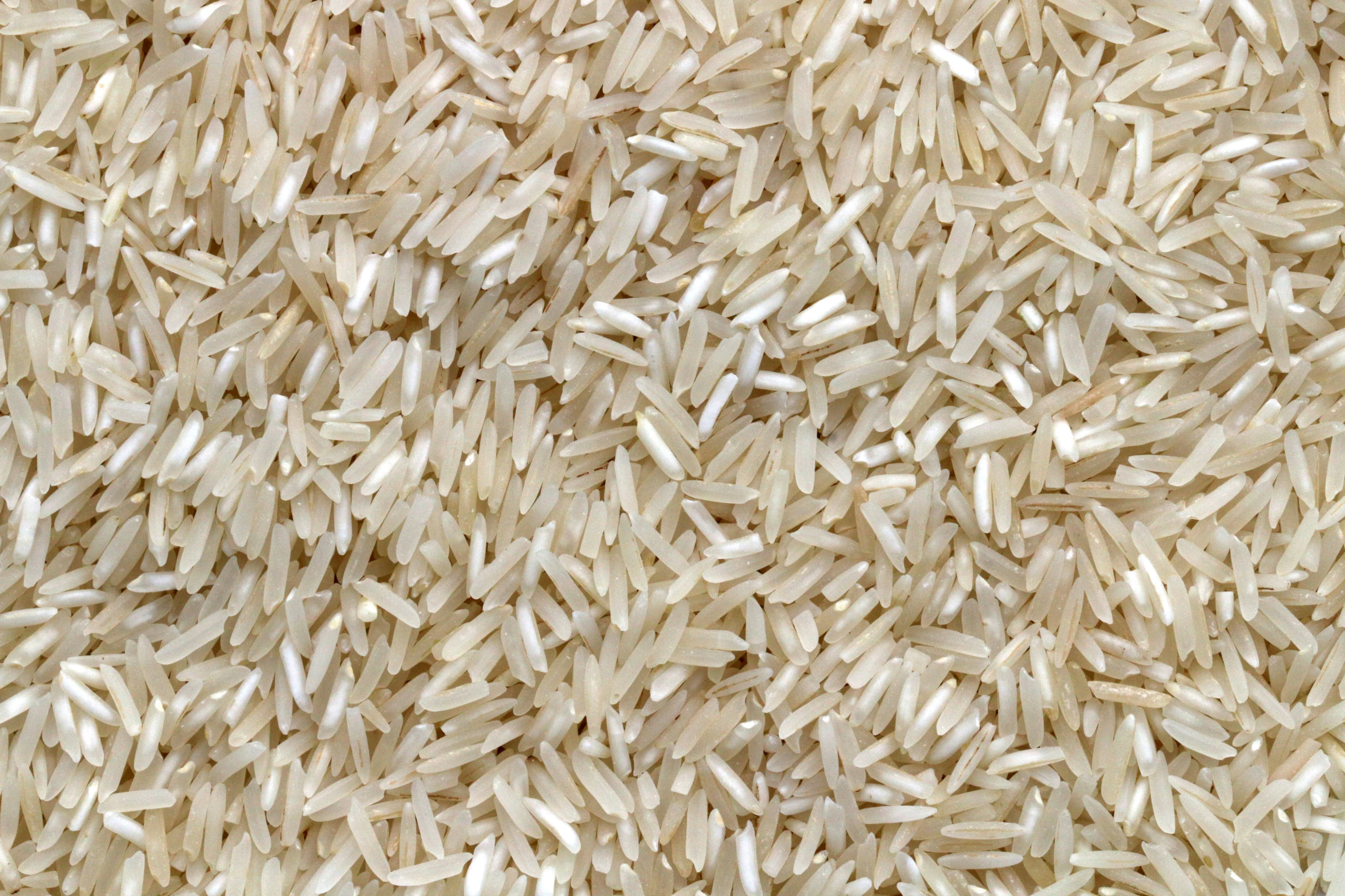 Organic Rice